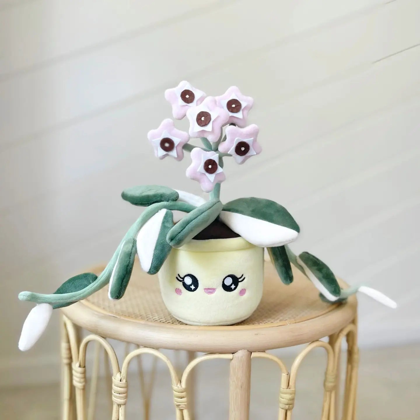 Hoya Carnosa Krimson Queen Plushie