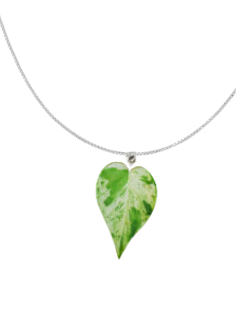 Plant necklaces