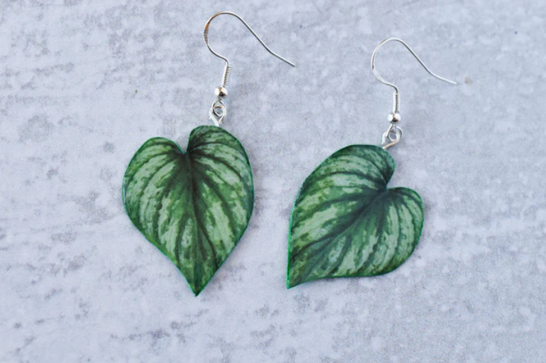 Plant earrings